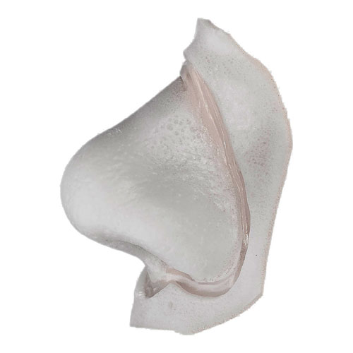 Bacchus Prosthetic Foam Nose