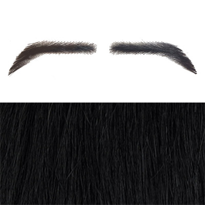 Eyebrows Style 5 Colour 1b - Black - Standard Size