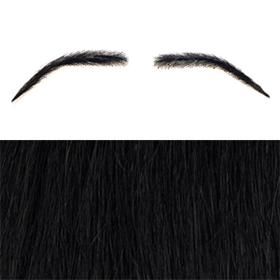 Eyebrows Style 6 Colour 1b - Black - Standard Size