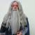 Gandalf Wig, Beard & Moustache Set Colour 60 Silver Grey - Synthetic Hair - BMW - view 4
